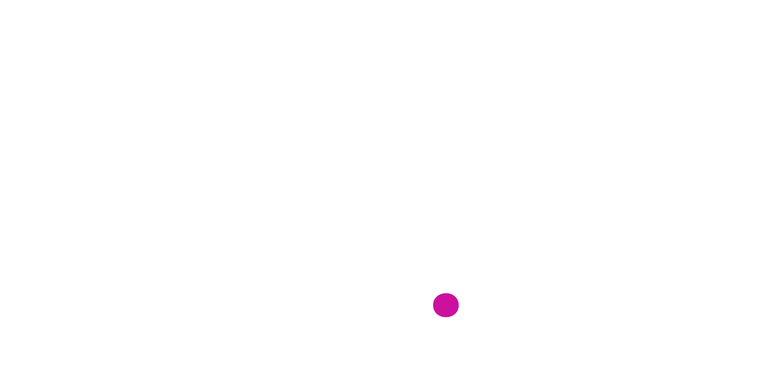 The Loyalty Report image
